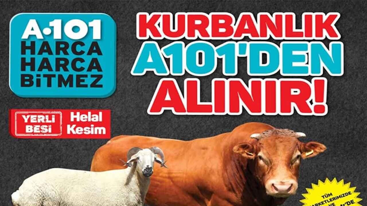 A101 Kurbanlık Fiyatları Ne Kadar? 2020 A101 Kurbanlık Fiyatları Ne Kadar? 2020