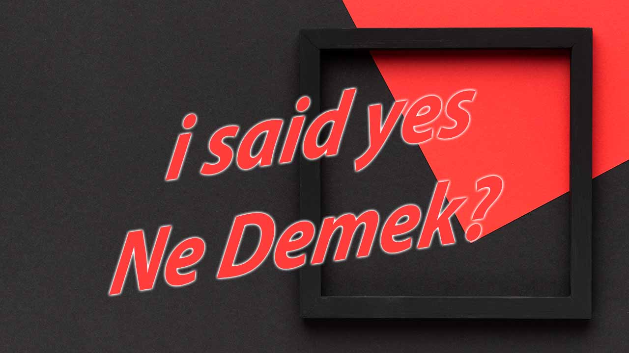 'I Said Yes' Ne Demek?  