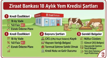 Ziraat Bankası 18 Aylık Yem Kredisi Şartları  