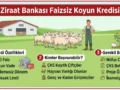 Ziraat Bankası Faizsiz Koyun Kredisi  