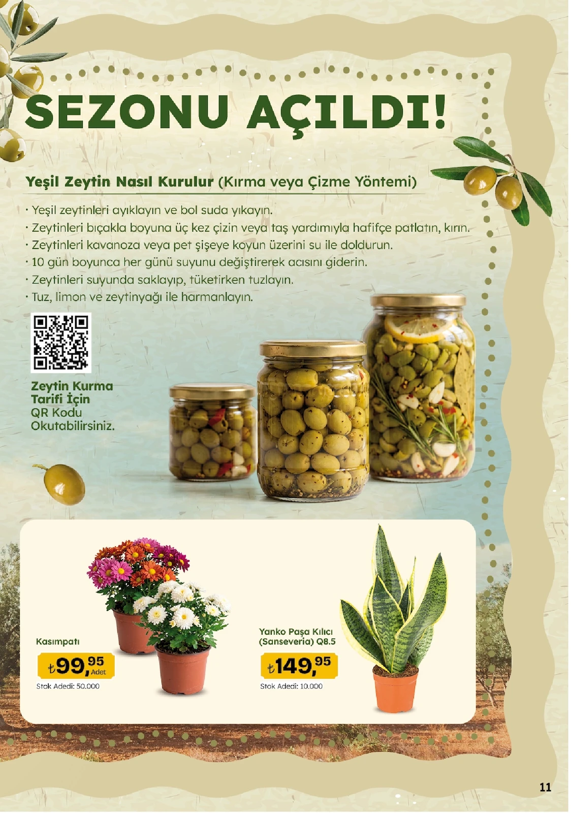 Migros Migroskop Broşürü 08 - 21 Ekim 2026  